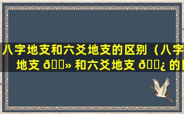 八字地支和六爻地支的区别（八字地支 🌻 和六爻地支 🌿 的区别是什么）